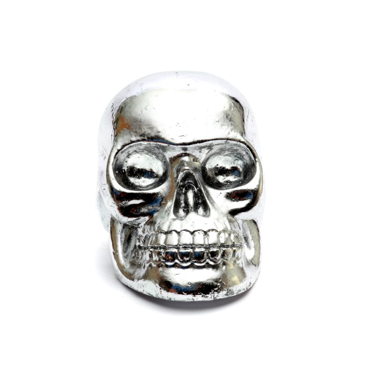 De Resin Skull Head Schedel Silver M