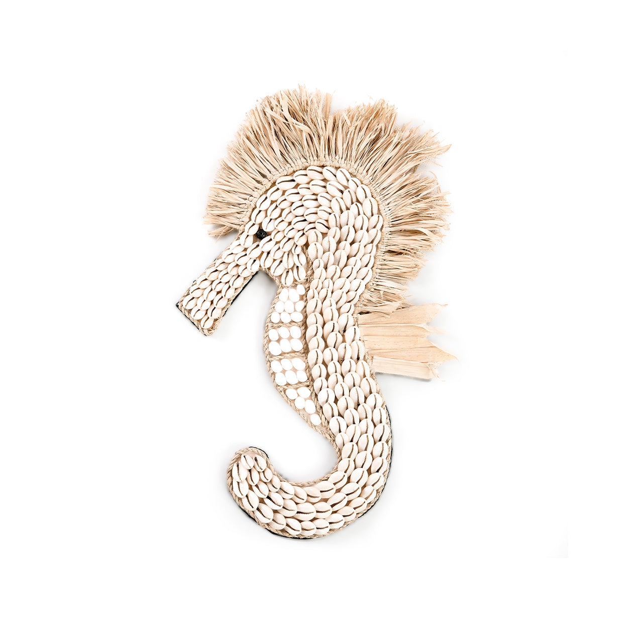 Le Cheval de Mer Shell - Blanc
