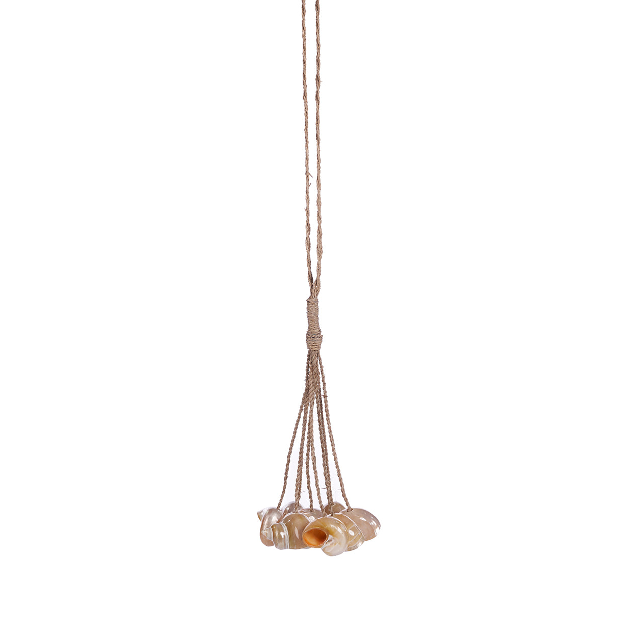De Conch Schelpen Kwast - Natuurlijk