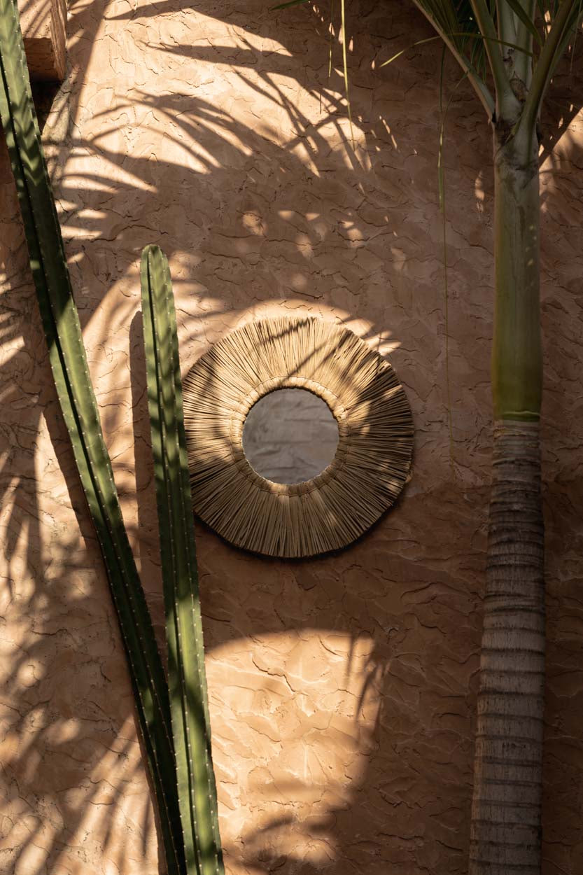 Der Alang Alang Spiegel - Natur - M