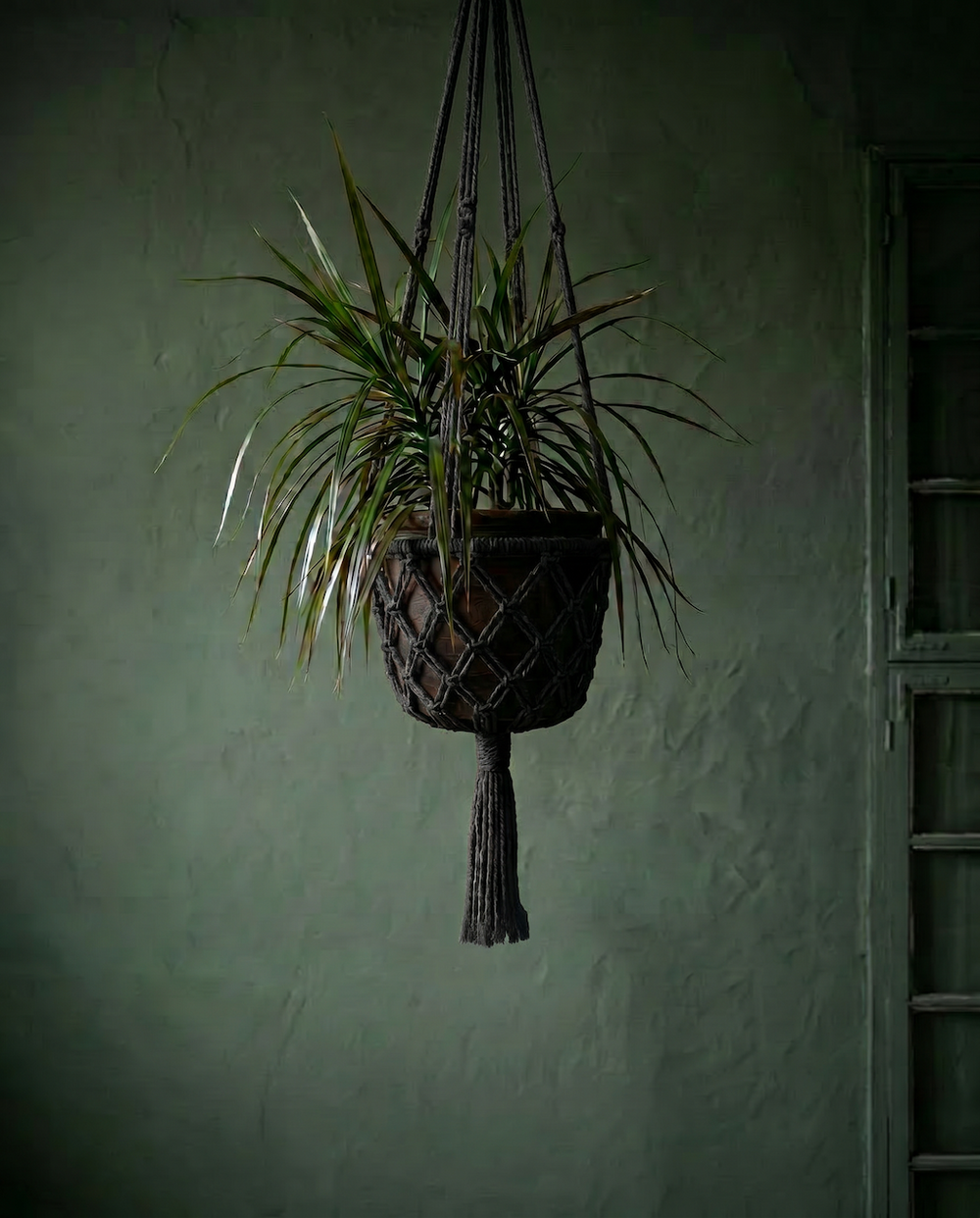 Le Porte-Plante Macramé - Noir - L