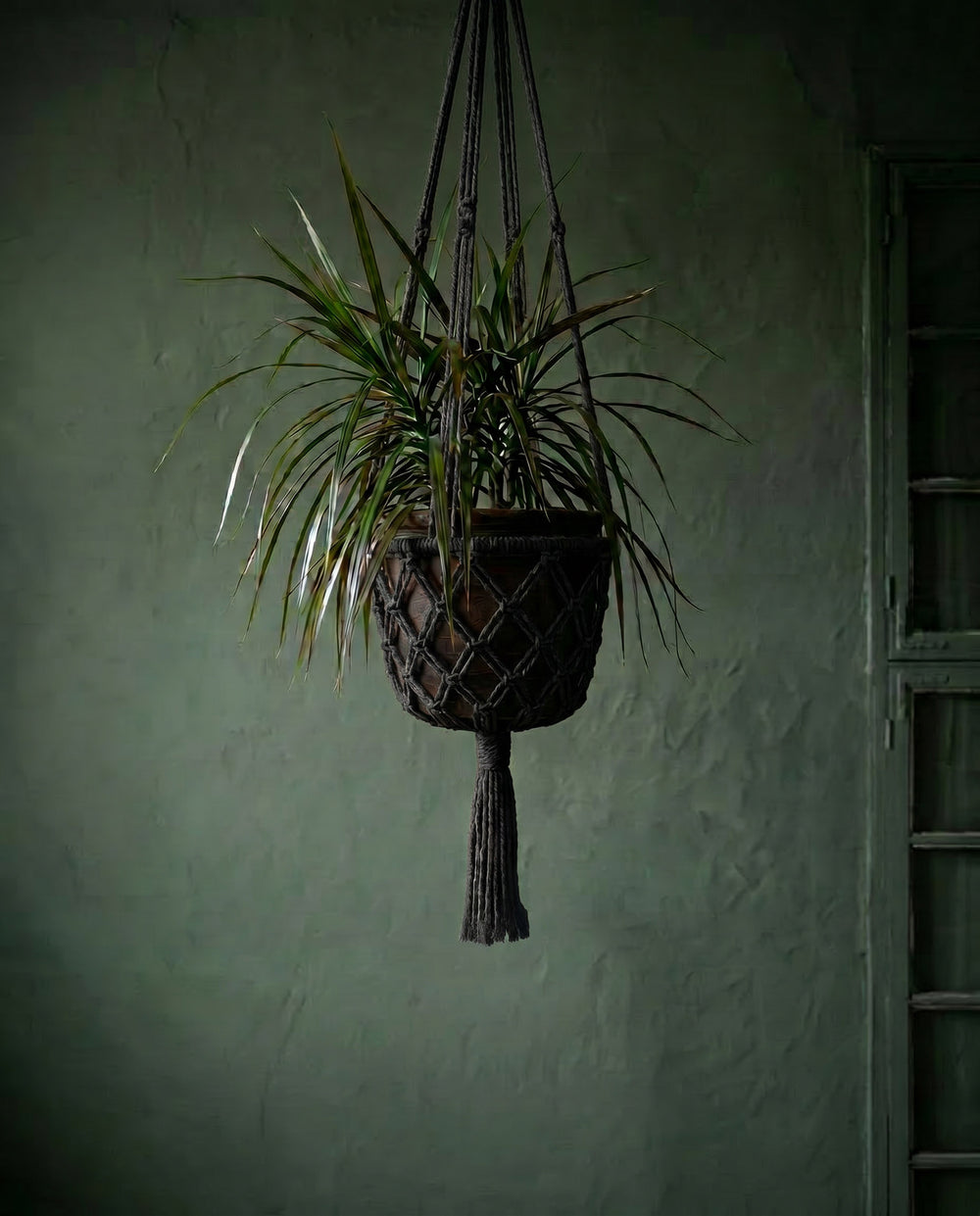 The Macrame Plant Holder - Black - L