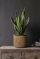 La Jardinera RattanRock - Natural - L