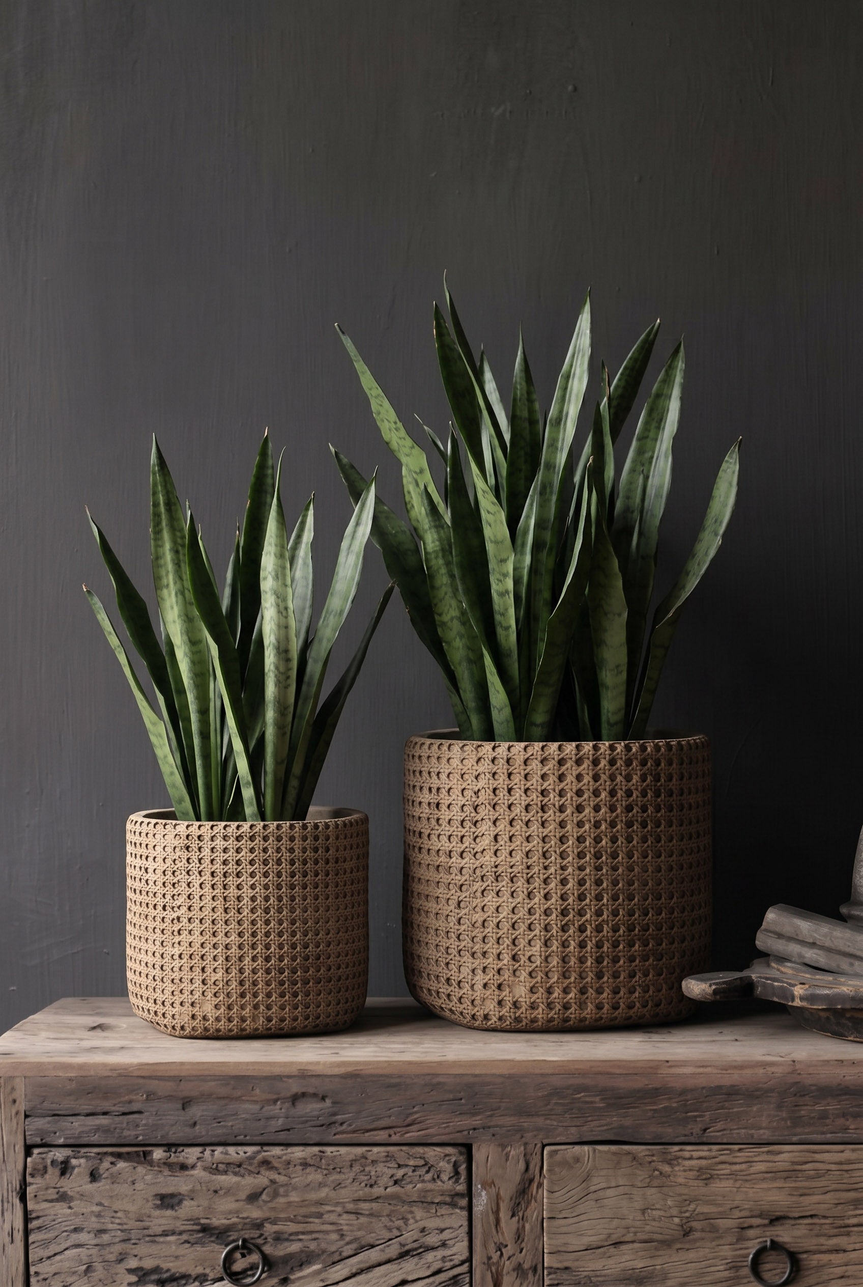 Der RattanRock Pflanzkübel - Natur - XL