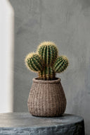 Il Vaso Faux-Puff - Marrone - M
