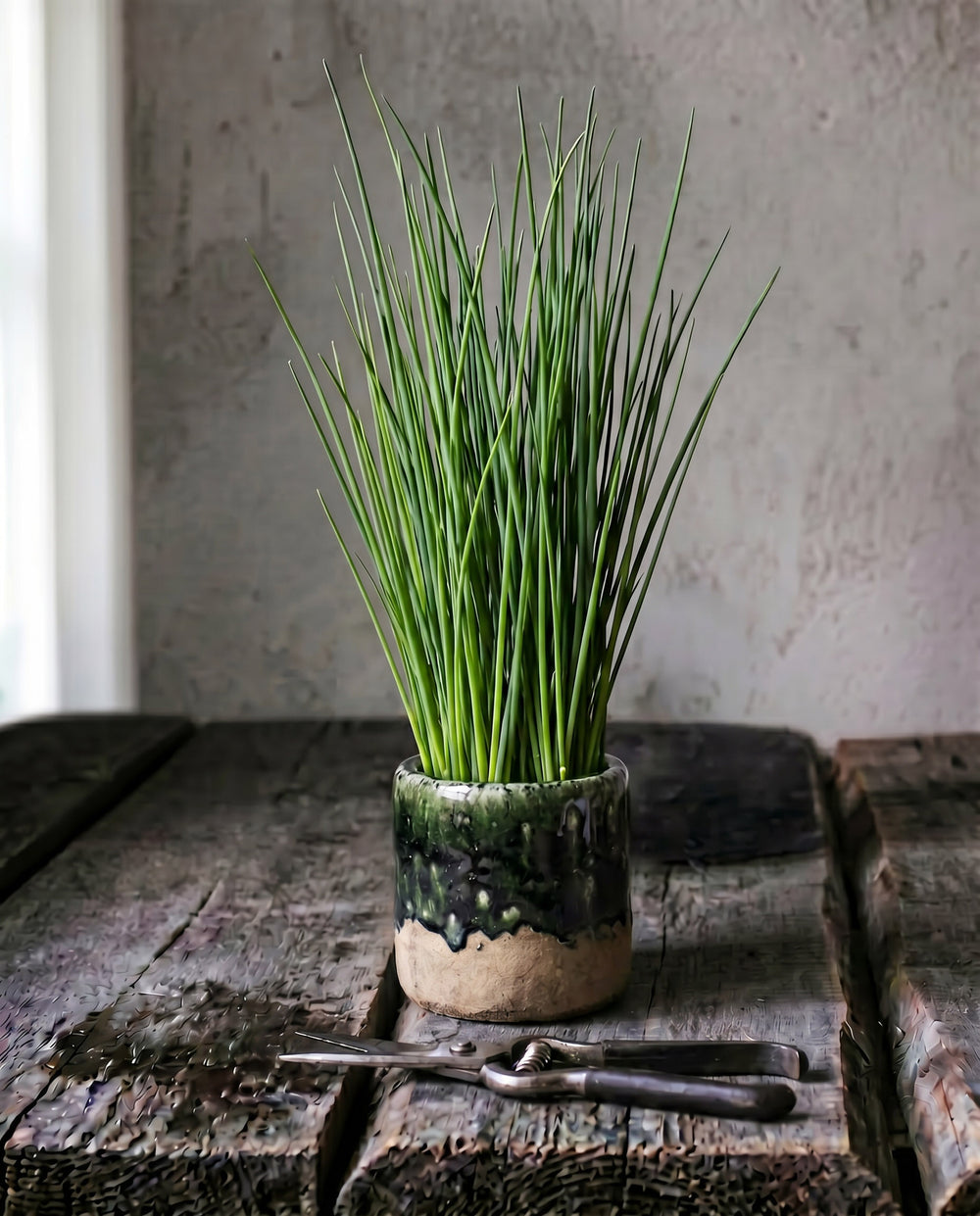 The Moss Planter -  Concrete Green - S