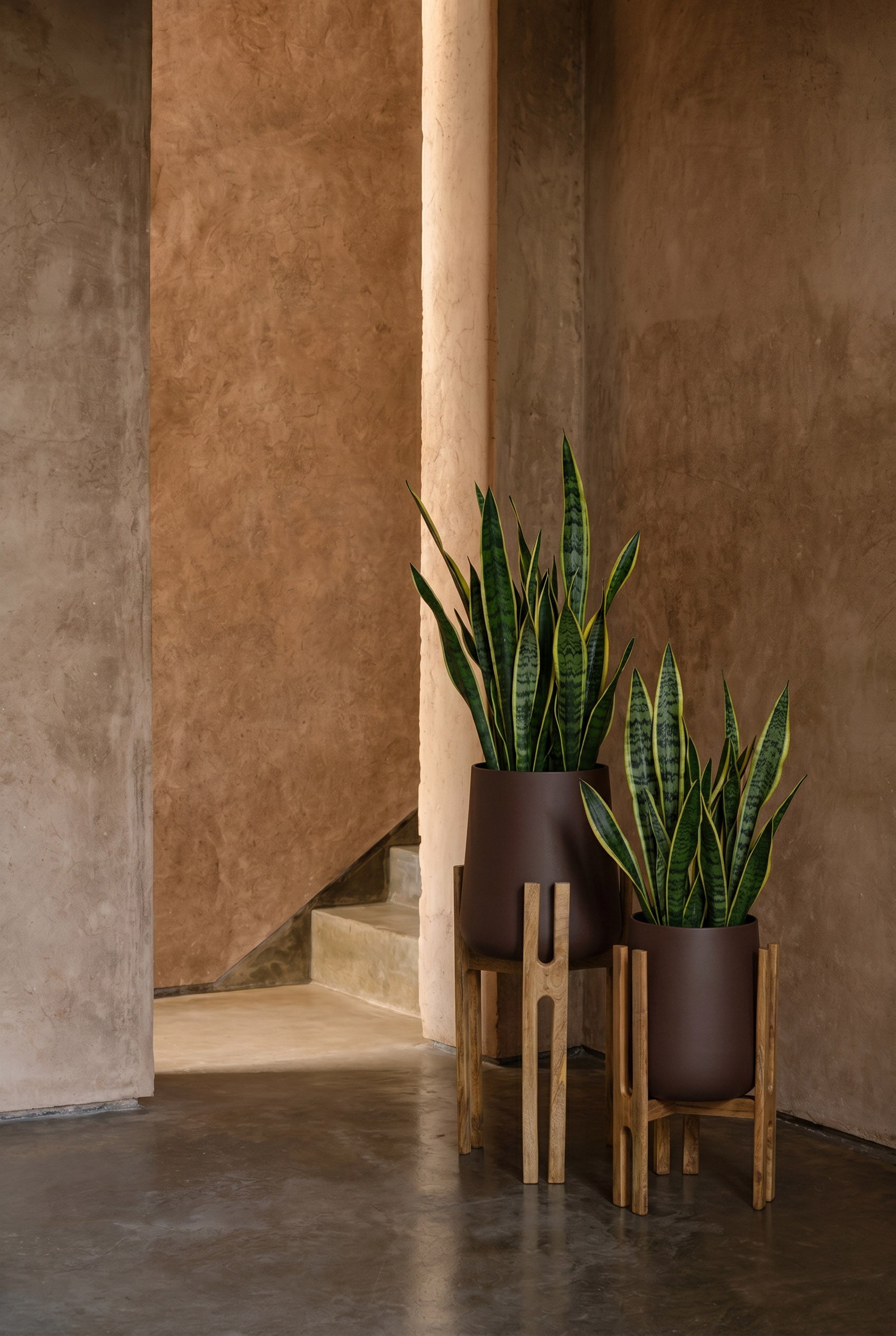 Der Forked Root Blumentopf - Naturbraun - M