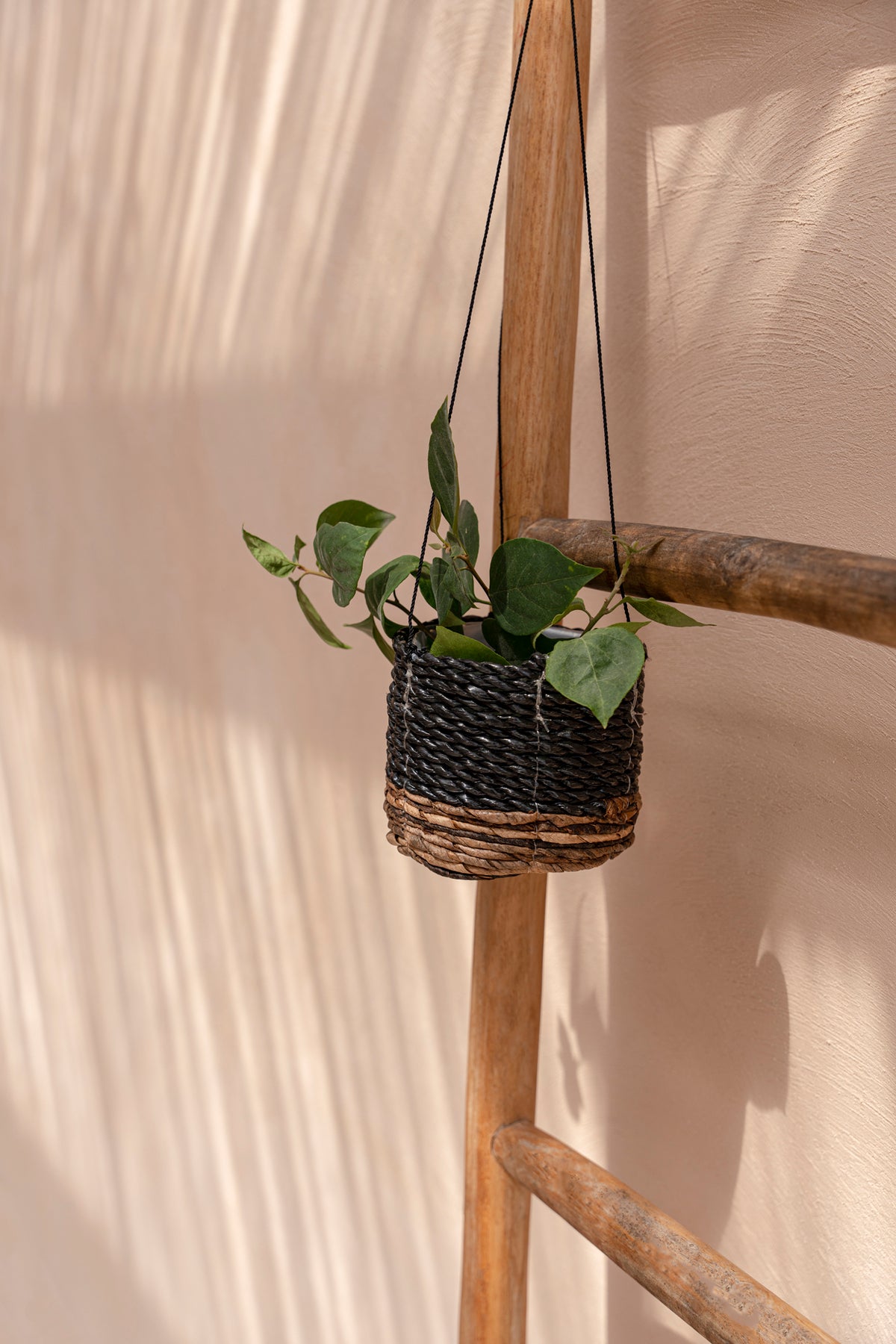 Le Porte-Plante Banana - Noir Naturel