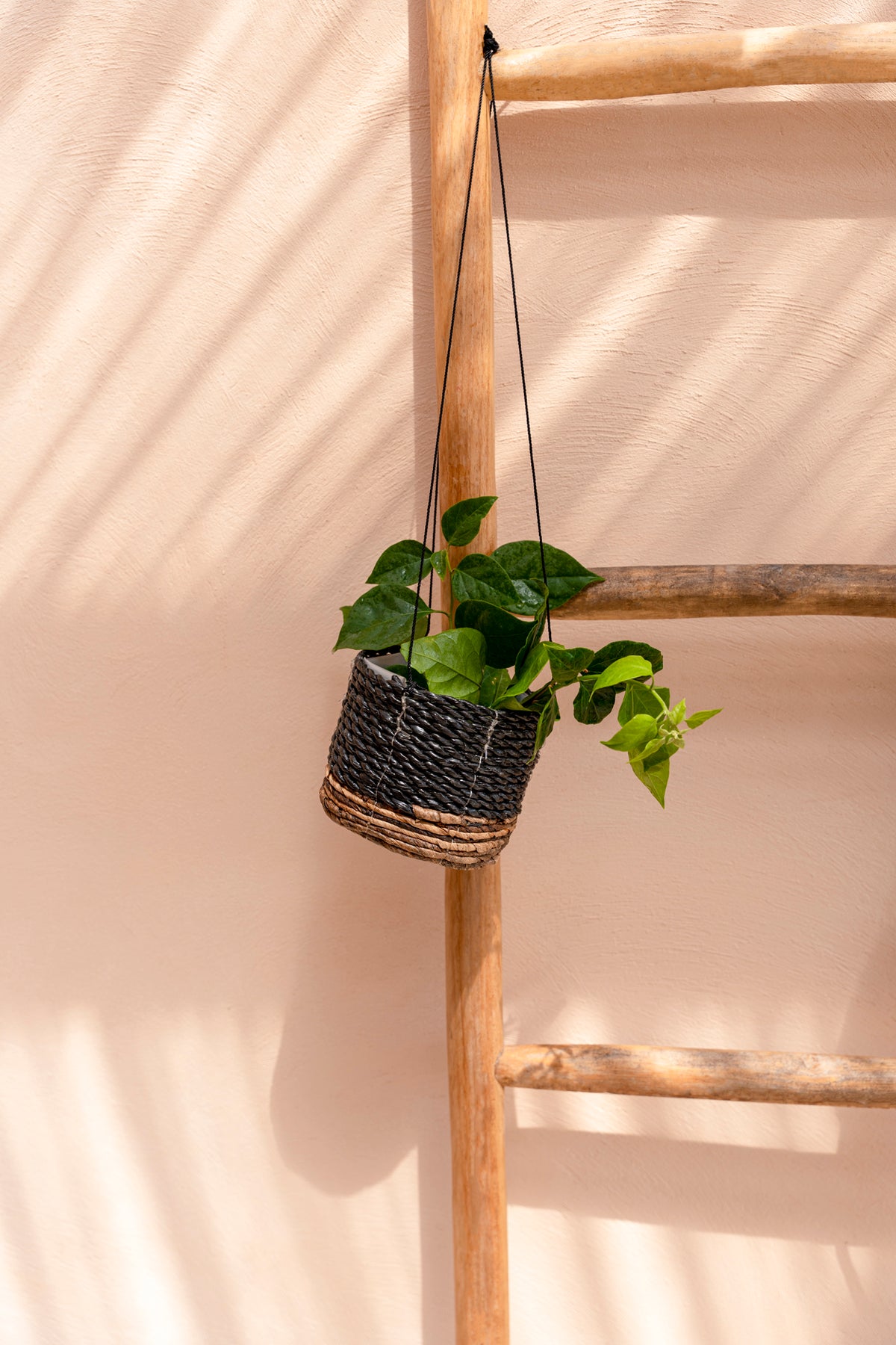 Le Porte-Plante Banana - Noir Naturel