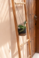 Le Porte-Plante Banana - Noir Naturel