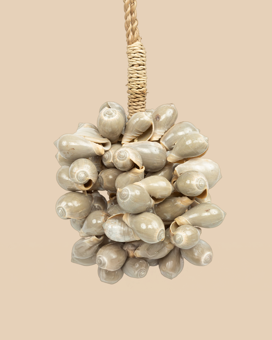 La Nappa A Conchiglia Grigia